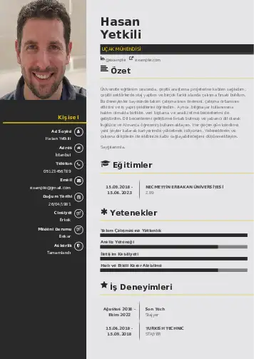 Havacılık Ve Uzay Uçak Mühendisi Cv Örnekleri cv indir